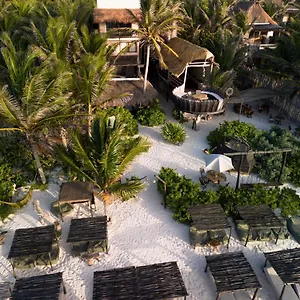 Hotel Orchid House (adults Only) Tulum
